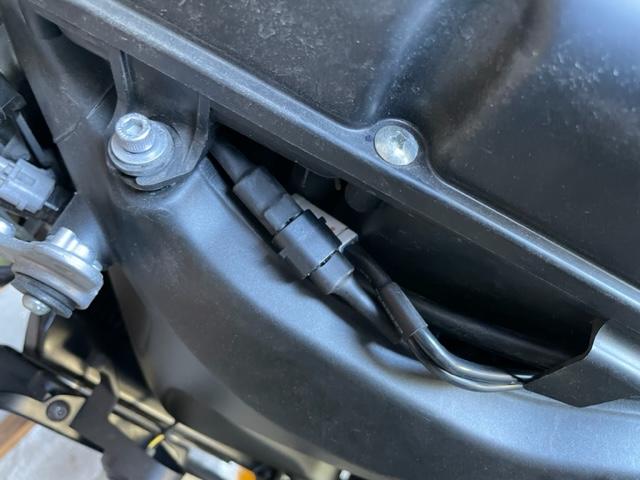 IMG_5852.jpg IMG_5852.jpg