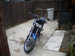 DSCN0710 (500x375).jpg