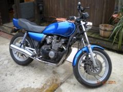 DSCN0711 (500x375).jpg