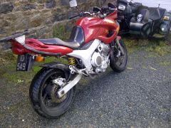 Looking a little sorry for herself!