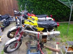 DT's 2 stroke line up