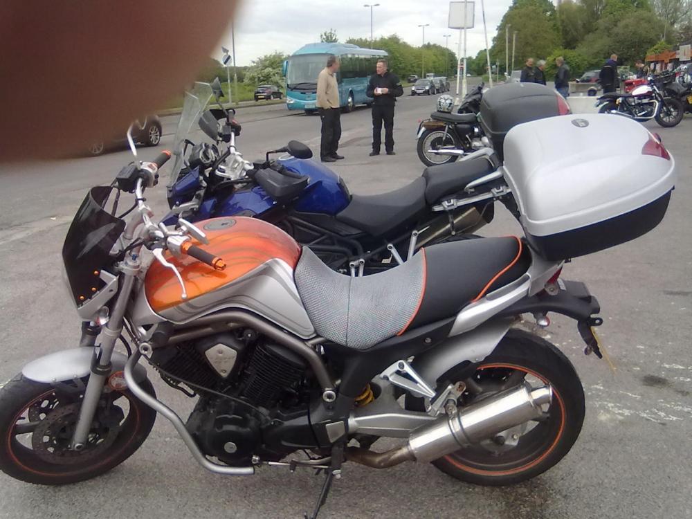 Bella at the H Café.jpg