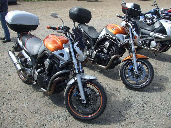 bella & george 2.jpg