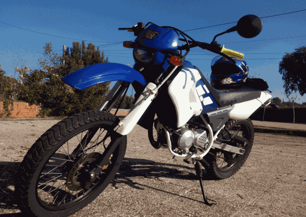 wasanabiDT.thumb.png.f04d8ba5acf830d6939