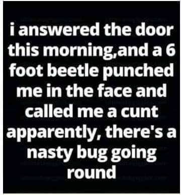 56c0c8213a66a_nastybug.jpg.d0db0a89783db