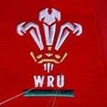 Denver 'ilusmtm' Cook