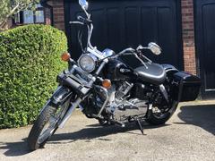 20200407 Panniers 2.JPG