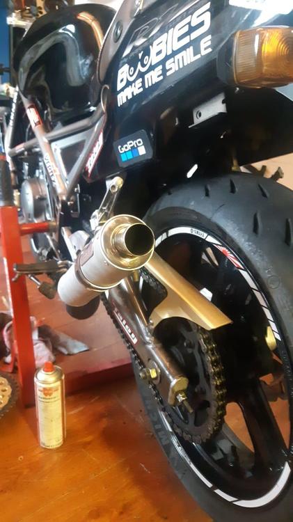 Gold chain guard.jpg